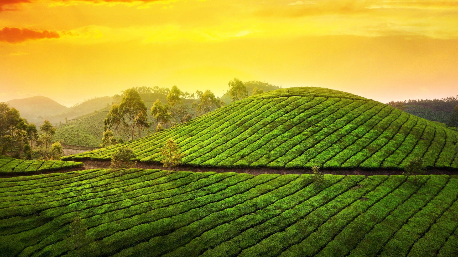 Comfortable AC cab ready for South India tour from Madurai — VK Travels